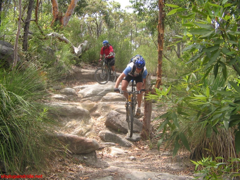 20061210-Lindfield 046 
